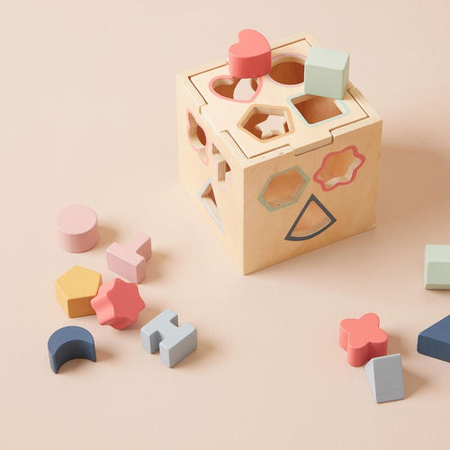 Montessori Wooden Shape Sorter