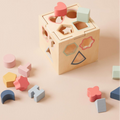 Montessori Wooden Shape Sorter